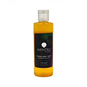 Champú quillay jengibre 250 ml