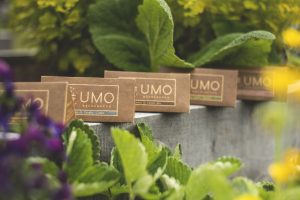 Incienso Artesanal Canelo-Cedro